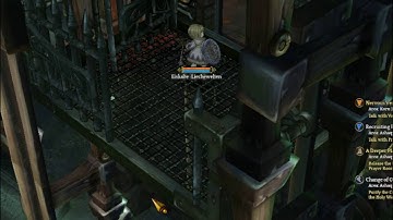 Tree of Savior Elevator Glitch