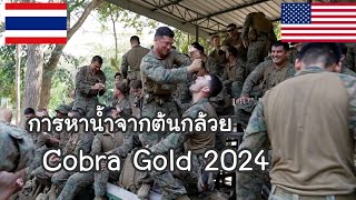 🇹🇭&🇺🇸 Jungle Survival Ep.4 การหาน้ำจากต้นกล้วย ในการฝึก Cobra Gold 2024