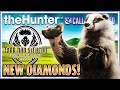 INSANE Scotland Hunt Delivers 3 NEW SPECIES Diamonds + MORE! | theHunter Call of the Wild