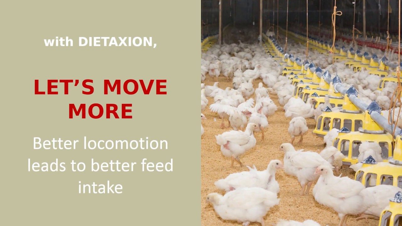 ça Marche, by DIETAXION