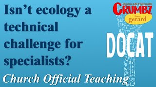 Isnt Ecology A Technical Challenge For Specialists? Church Official Teaching Docat