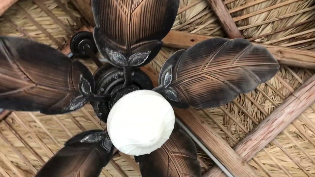 Ceiling fans in my hotel YouTube