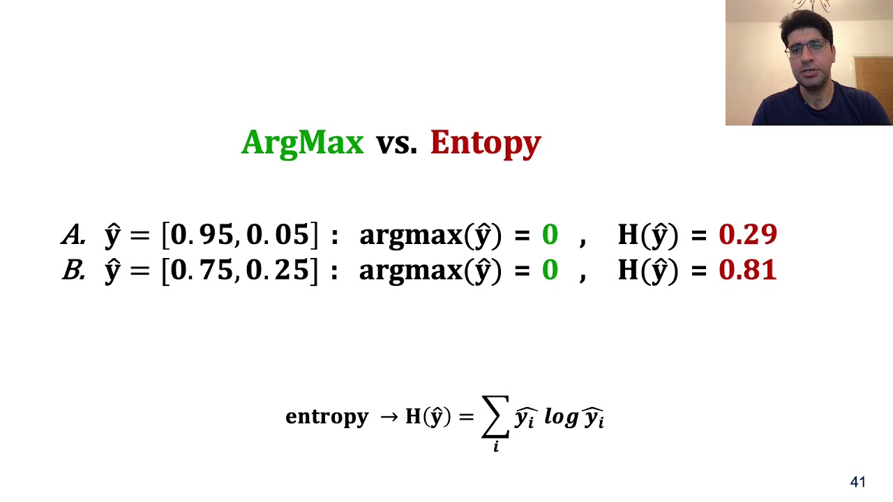 Honest-but-Curious Nets (ACM CCS 2021)