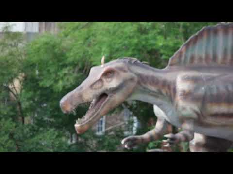Dildosaurus Rex