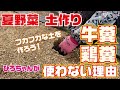 牛糞・鶏糞使いません!理由があります【土作り】【牛糞】【鶏糞】【堆肥】