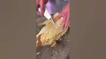 Electric Quick Chicken Plucker Feather Removal Machine Chicken Duck Goose Automatic 