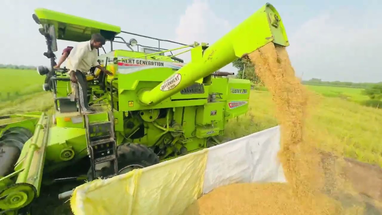 #18 ਜੂਨ ਨੂੰ #ਲਾਈ ਸੀ ਤੇ #18 ਸਤੰਬਰ ਨੂੰ  #ਵੱਡ ਲਈ #1692🌾🌾