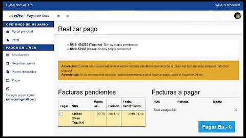 Como faço para pagar o registro br?