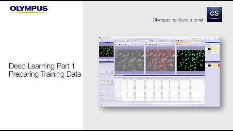 cellSens Deep Learning Part 1 - Preparing Training Data