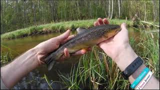 Wyjazd na pstrągi maj 2024 r.... i piękne klimaty...Trout fishing in beautiful places...