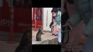 Sedat Peker Hükümete Karşi Vur Kir Parçala