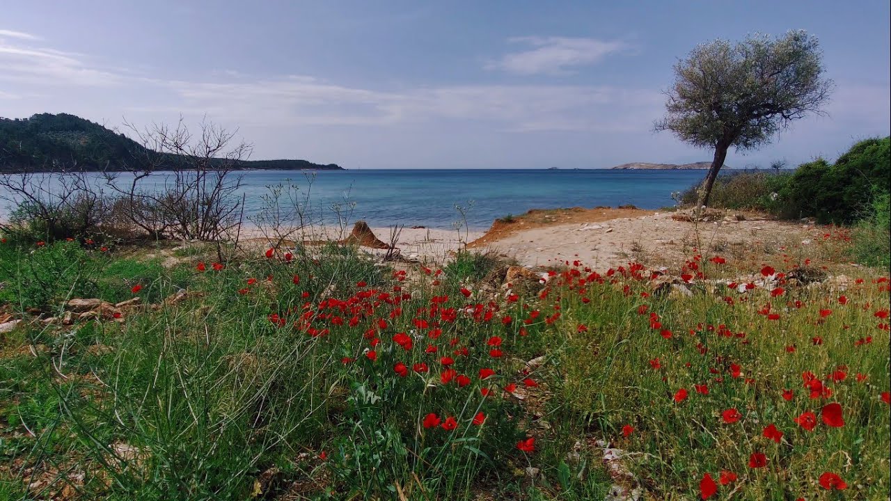 Astrida Beach insula Thassos Grecia - YouTube