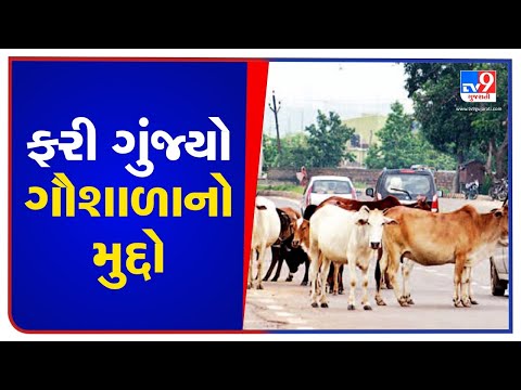 Gau bhakts demand Gaushalas in Devbhumi Dwarka, threaten protest | TV9News