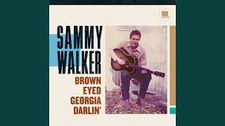 Watch Sammy Walker The Streets Above Lake Erie video
