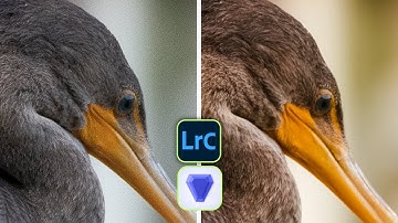Does applying noise reduction to RAW files really make a difference? [Topaz Photo AI Tutorial]