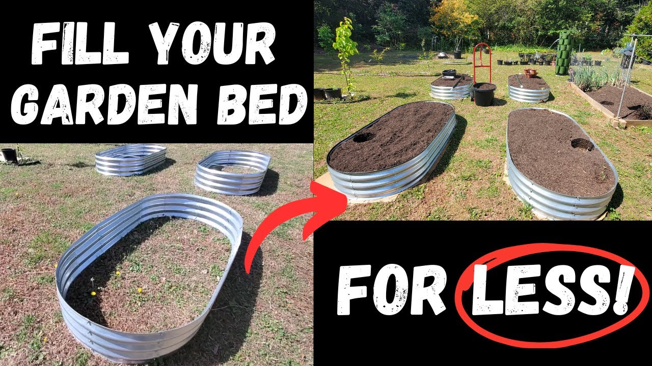 How to Fill Raised Beds WITHOUT Breaking the Bank: Budget Gardening ...