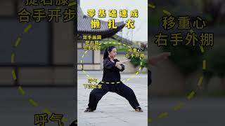 陈氏太极拳懒扎衣动作要领 #太极拳 #太极拳教学 #7天学会1套太极拳 #太极拳精编七式 #豫记