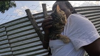 Bruh Cant Resist My Head Scratches