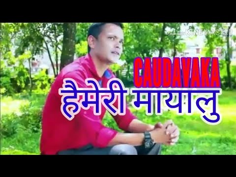 #Raju pariyar Hai miri mayalu old kauda