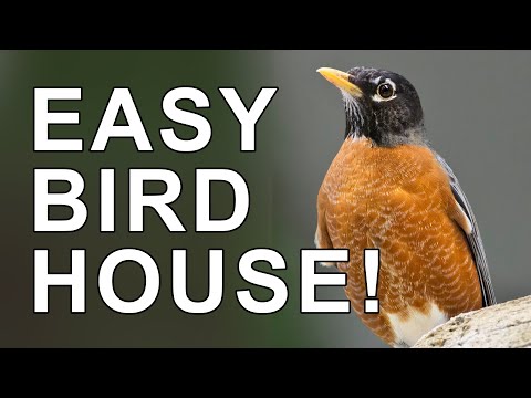 The Easiest Birdhouse You Can Build - The Ledge Nest Bird House