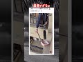 最悪すぎるw #shorts#tiktok#Twitter#おもしろ#お笑い#おすすめ#最悪#ミス#ハプニング#面白い#おもしろ動画#爆笑#バズれ