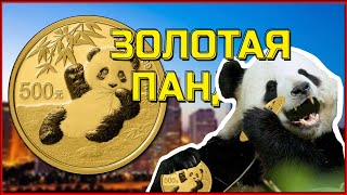 Монета Китая «Золотая Панда». Инвестиционные монет Китая.