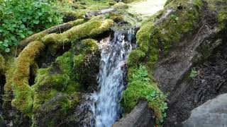 Mini waterfall short# by Survival Common Sense 178 views 6 months ago 15 seconds