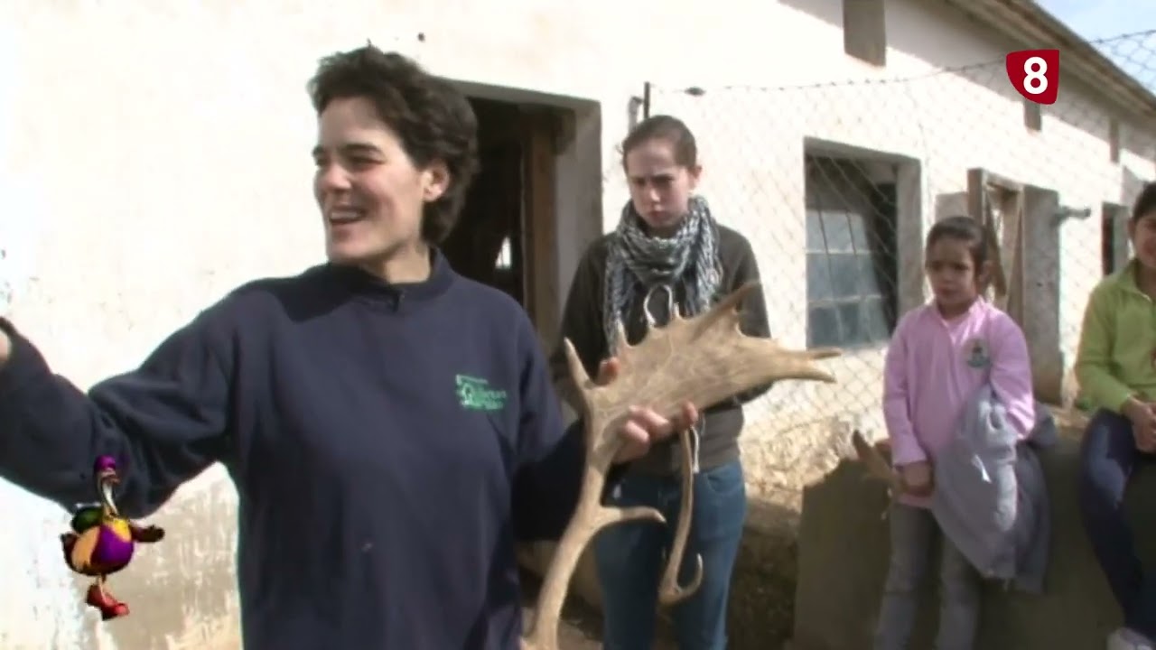 Trotaparamus 25 - Villalba