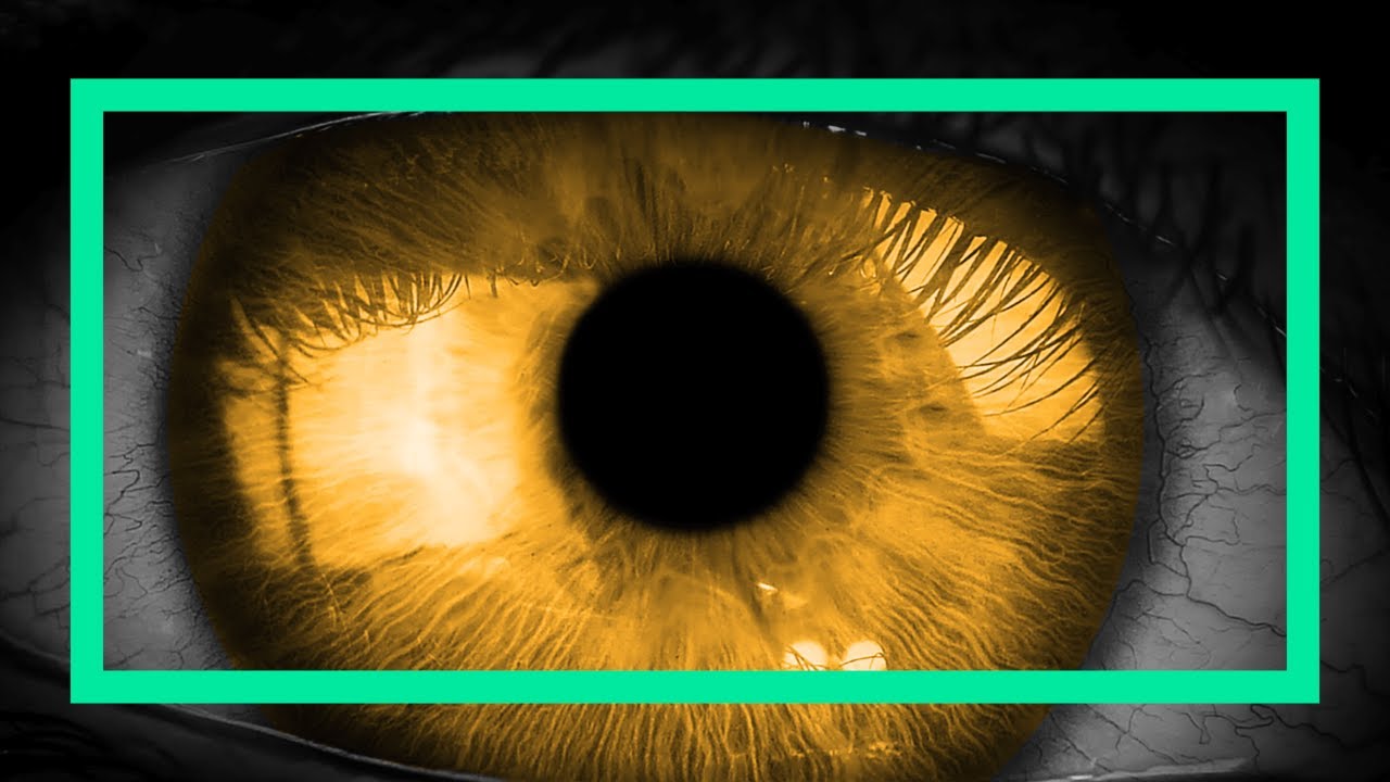 Biohacking Vision: Why Optometrists Love Lutein and Zeaxanthin
