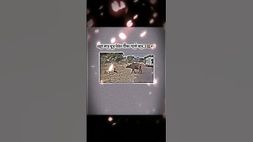 sahos Kore ghore Dara #unfrezzmyaccount #bangladialogue #sad #lifeisbutadream #banglaentertainment r