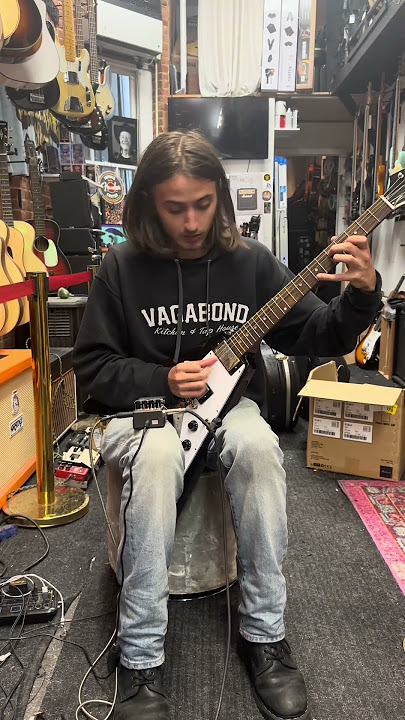Honest Pedal Reviews: Boss Reverb RV-6