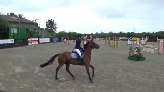 Elinor & Crystal - 85cm Tushingham 24/07/16 4th Place