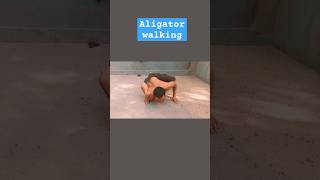 Alligator ? walking ,try it aligator workout clandestina