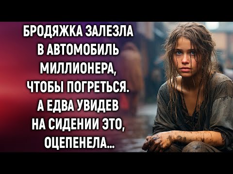 Видео: Бродяжка залезла в автомобиль миллионера, чтобы погреться. А едва увидев на сидении это…