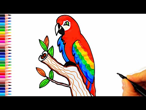 Sevimli Papağan Çizimi - Kolay Çizimler - Papağan Nasıl Çizilir? - Kuş Çizimi 