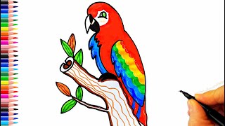 Sevimli Papağan Çizimi - Kolay Çizimler - Papağan Nasıl Çizilir? - Kuş Çizimi - Parrot Drawing Easy