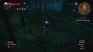 The Witcher 3 deflect arrow