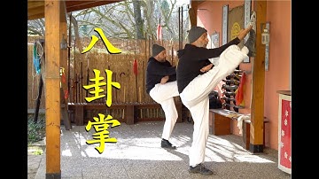 八卦掌 Basic Monkey and two Circles