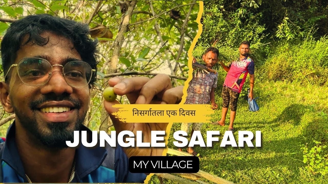 तुळशीच्या लग्नाचं मिशन…वाट सापडेना! 😅