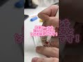 注射シールにも力を入れています✨️ #小児科 #ピクミン#コアラ小児科