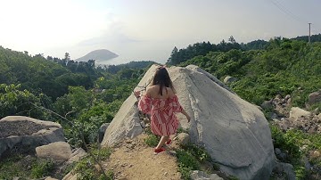 cây cô đơn đèo Hải Vân