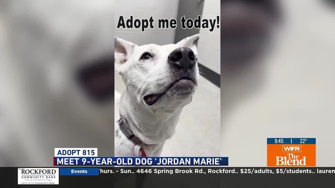 Adopt 815: Meet ‘Jordan Marie’