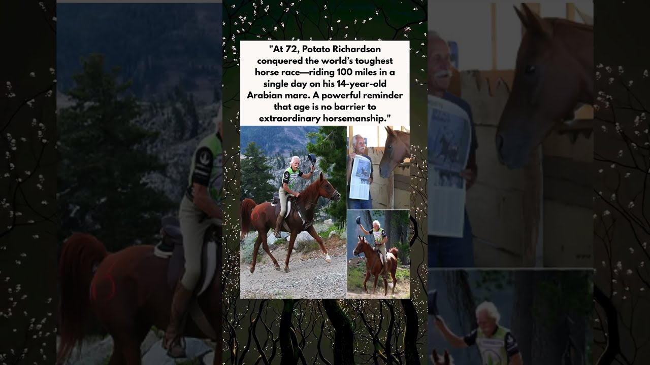 72 Year Old Man Triumphs In The World S Toughest Horse Race