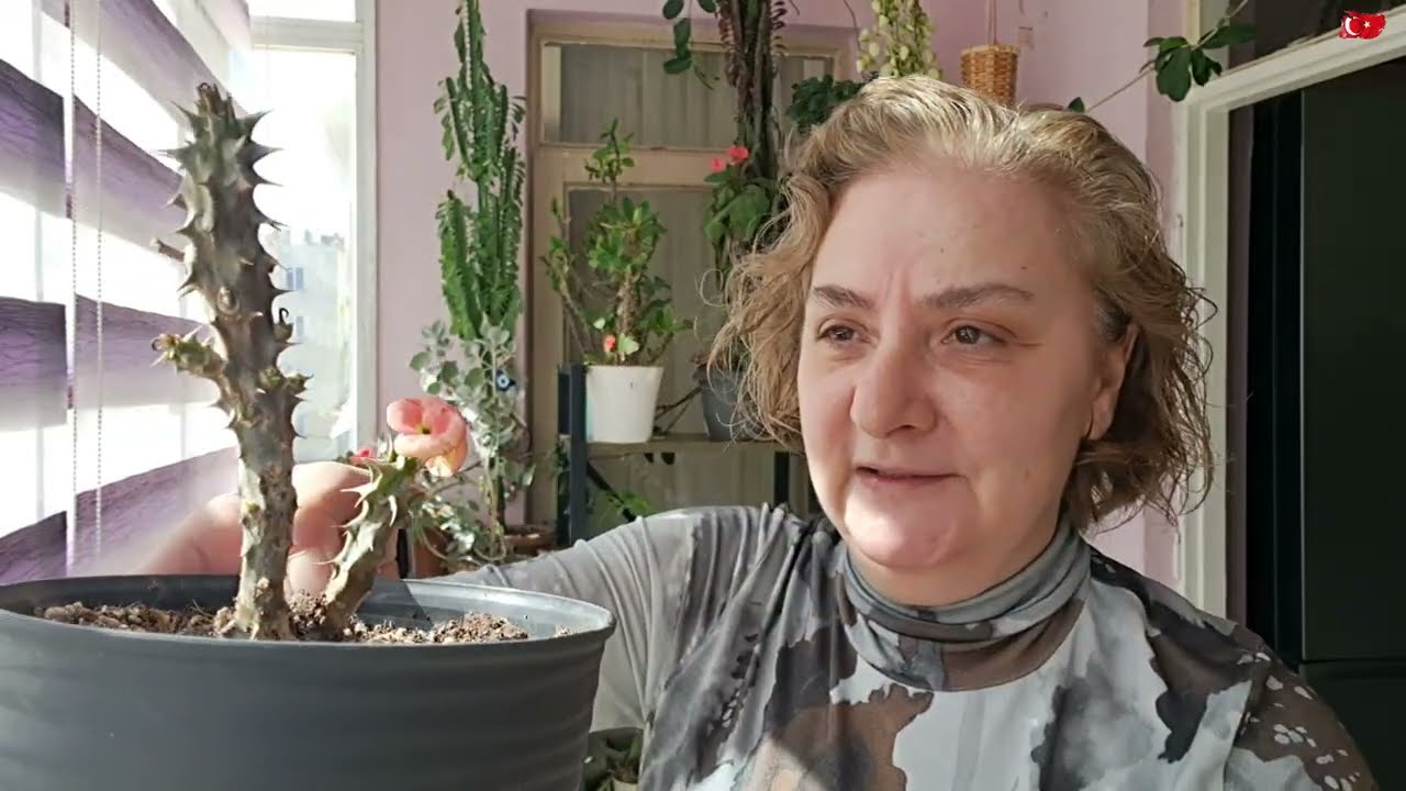 KOLTUĞUMUZ DURDUK YERE YANDI ALLAHTAN EVDEYDİK# AYNI RENGİNİ BULABİLDİM 