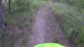 Testing BMC Speedfox SF02 XT with my traildog. ;) by Ingo Hess 1,008 views 6 years ago 3 minutes, 18 seconds