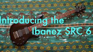 Celebrity Introduction of the, "new-to-me", Ibanez SRC6 "Crossover" Electric 6 string short scale bass guitar Profile