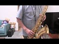 国際線待合室（青江三奈）テナーサックス演奏20241012