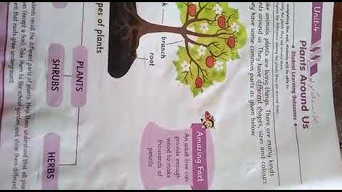 Science, Unit4:plants around us||Afaq Iqbal Series||Grade 1