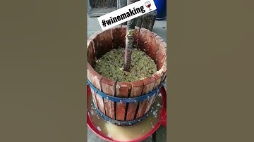 Cum se prepara vinul natural?! #shots#video #viralvideo #nature