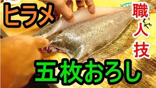 ヒラメの五枚おろし プロの職人のさばき方を手元で撮影 平目のサク取り方法 奈良 新大宮 の 和食 居酒屋 酒肴 えんや Youtube ヒラメの五枚おろし プロの職人のさばき方を手元で撮影 平目のサク取り方法 奈良 新大宮 の 和食 居酒屋 酒肴 えんや Youtube